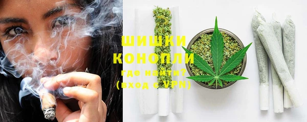 ECSTASY Бородино