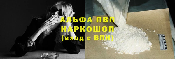 ECSTASY Бородино