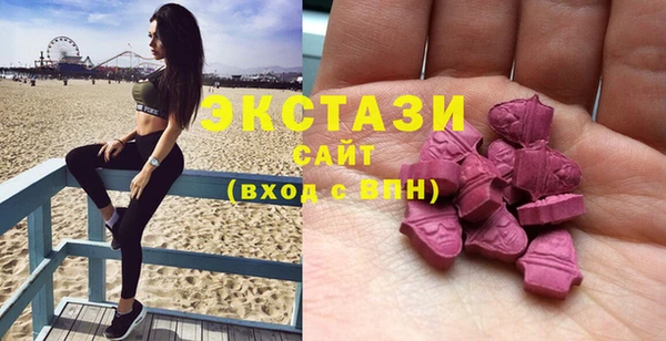 ECSTASY Бородино