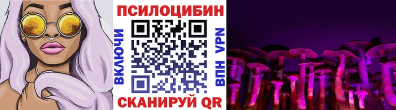 где найти наркотики  Горно-Алтайск  Галлюциногенные грибы Cubensis 